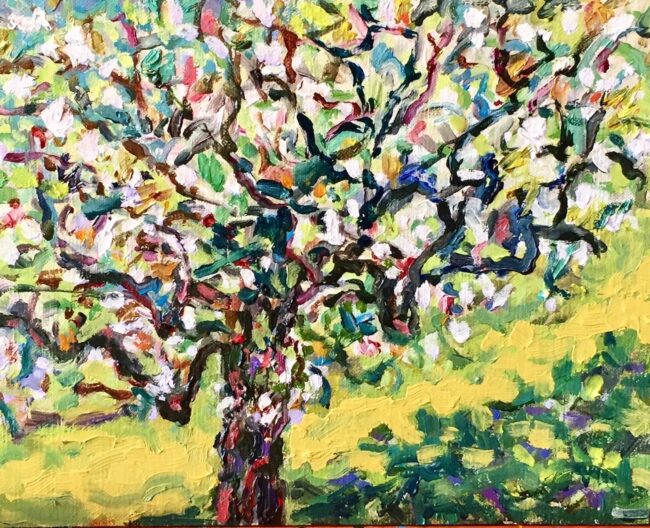 Spring Crabapples (archive)
