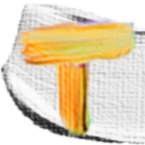 Pat Tolle "T" Logo favicon
